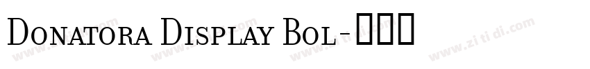 Donatora Display Bol字体转换